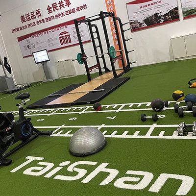 19 mm Pfahlhöhe UV-beständiges künstliches Gras für Sportplätze mit Nichtfüllinstallation