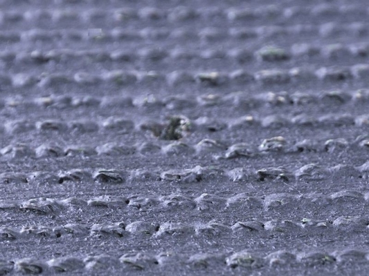 Maßgeschneiderter grüner künstlicher Rasen für die Landschaft mit 38 mm Pfahlhöhe und Dtex 8000