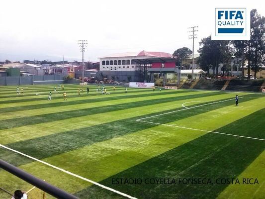 FIFA-zertifizierte 55 mm Pfahlhöhe, hohe Dichte, künstlicher Rasen für Fußballplätze mit geringer Wartung