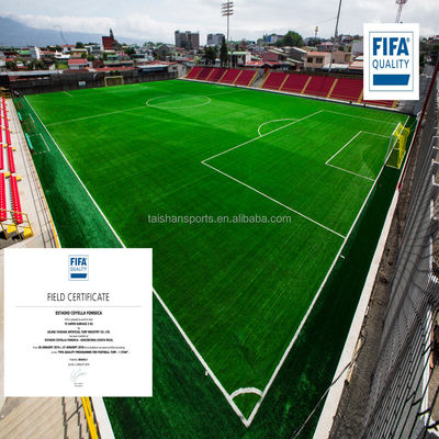 Grüner Fußball-Kunstrasen mit 5/8" Gauge PP+LENO-Träger und SBR-Latex-Beschichtung