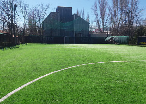 FIFA-Genehmigung UV-beständig 50 mm Pfahlhöhe Fußball künstliches Gras mit hoher Dichte und geringer Wartung