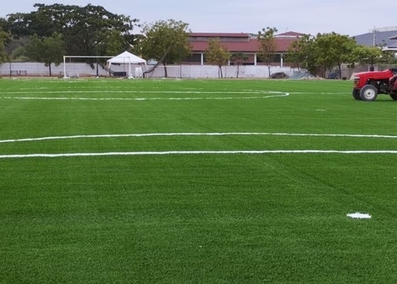 50 mm Fußball-Künstlicher Rasen 160 Stiche/M Falschgras für Fußballfelder und Outdoor-Aktivitäten mit geringer Wartung
