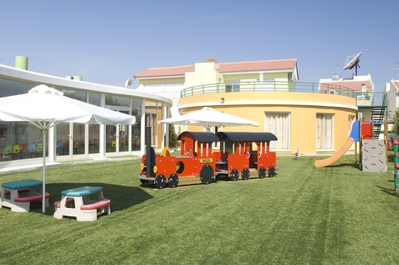 25 mm Pile Height Hybrid Kunstrasenteppich mit ultra hoher Verschleißfestigkeit für gemischte Verlegung mit Naturrasen