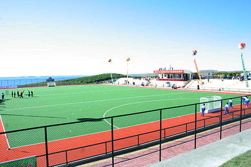Kunstrasen mit hoher Dichte und 18 mm Dicke mit großartiger UV-Beständigkeit für Golf und Hockey