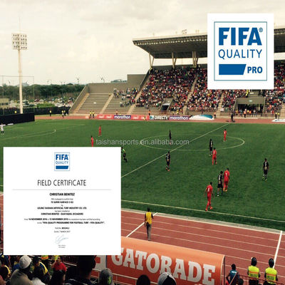 Grüner Fußball-Künstlicher Rasen mit PP+LENO-Hintergrund und SBR-Latex-Kleber