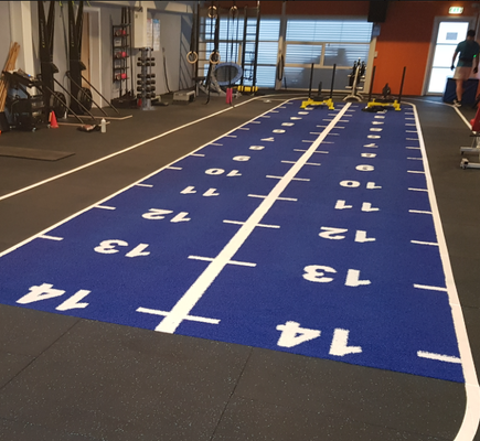 16mm Pile Height Schlittenrasen mit individuell angepasstem Farbmuster und UV-Widerstand für Fitnessstudio
