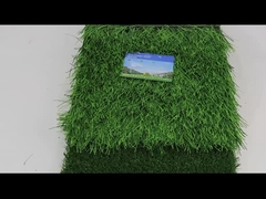 Fußball-künstlicher Rasen