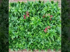 2025 Neue Taishan-Wandgraslieferant