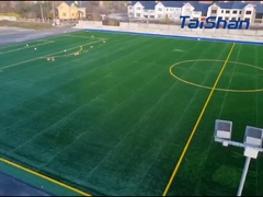 FIFA-zertifizierter Fußballrasen