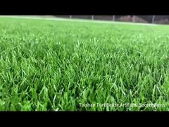 Taishan neues Projekt Belize Kunstrasen für Sport