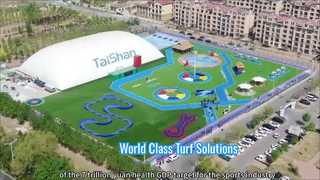 Einführung in die Taishan Sports Industry Group